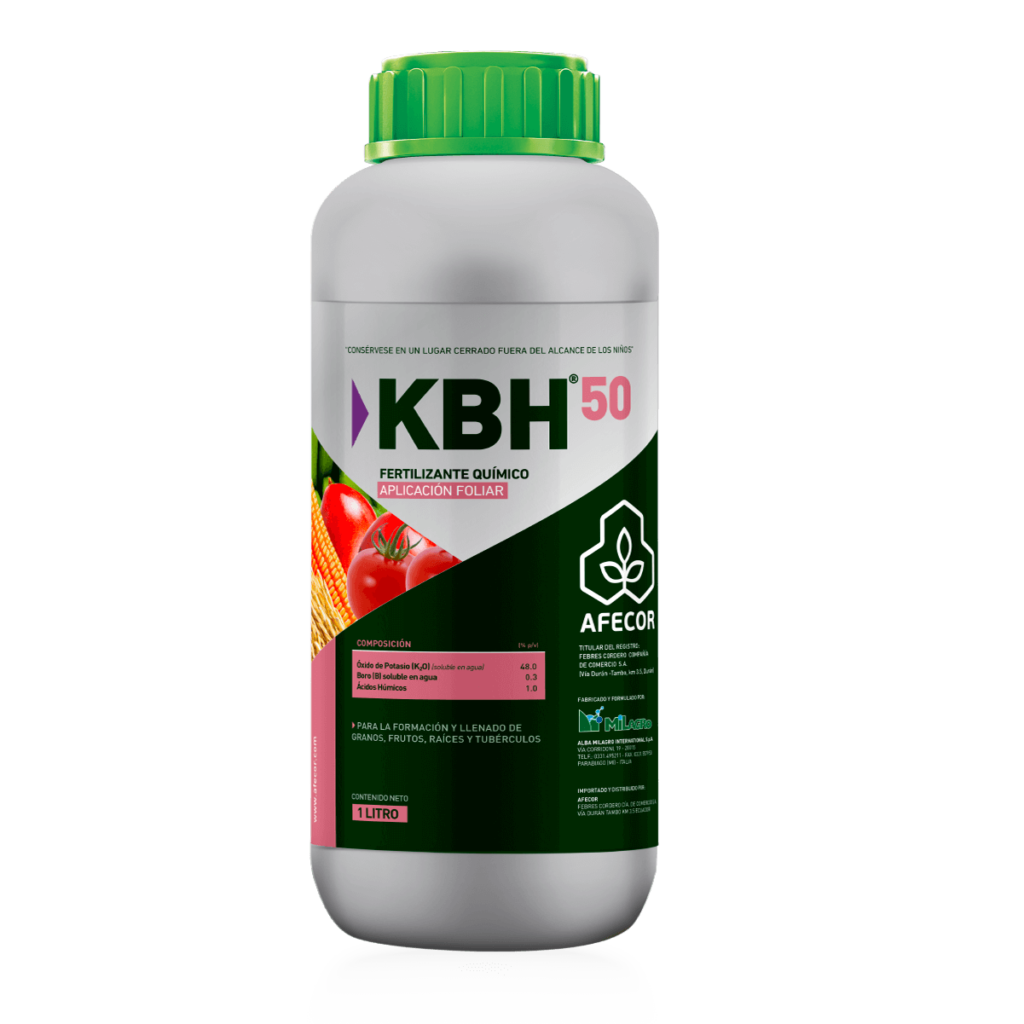 KBH 50