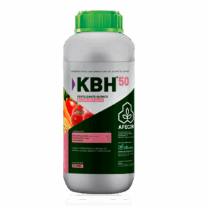 KBH 50