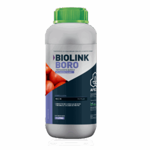 Biolink Boro