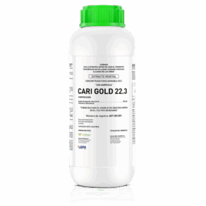 Cari Gold