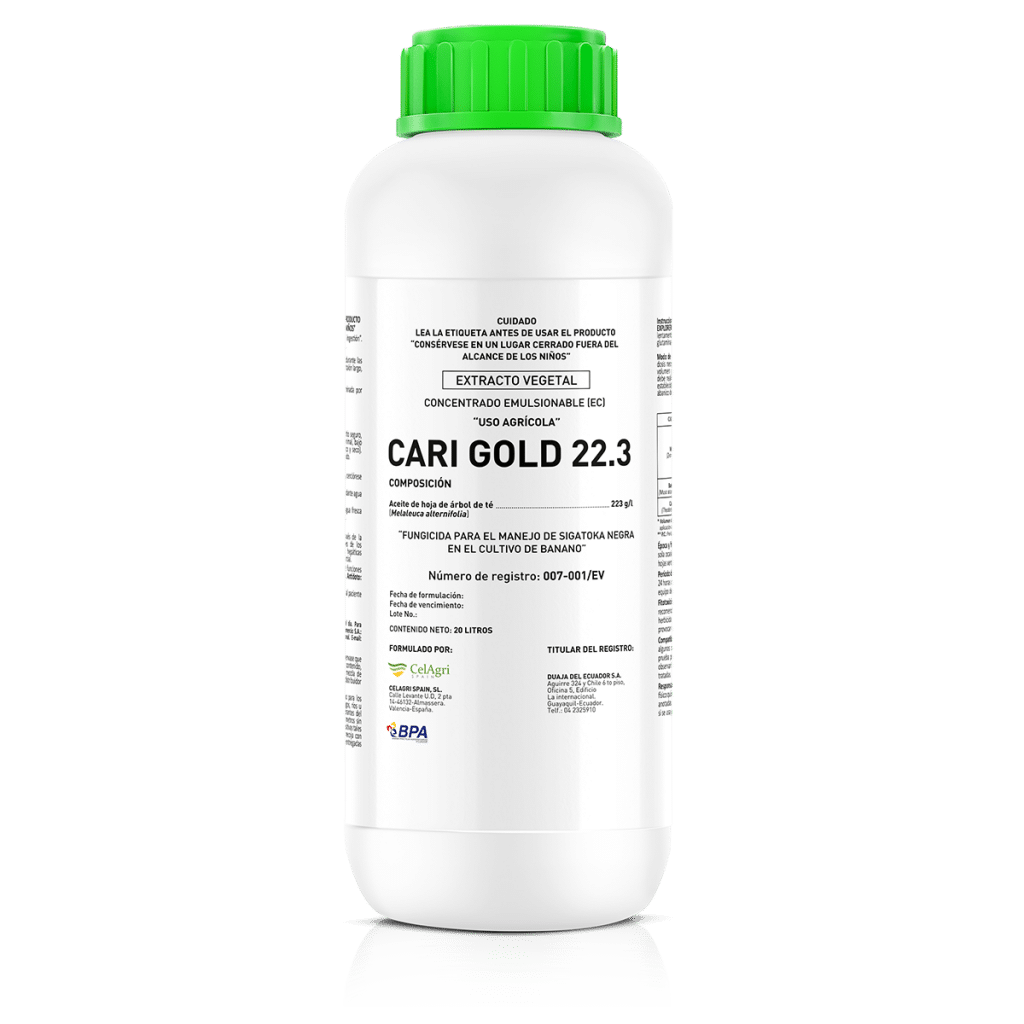 Cari Gold