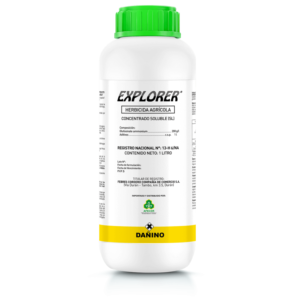 Explorer