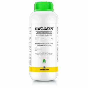 Explorer
