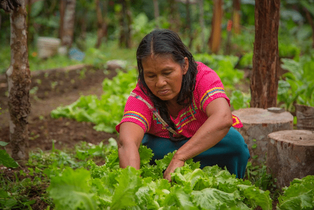 Ministerio de Agricultura y FAO impulsan política para mujeres rurales en Ecuador