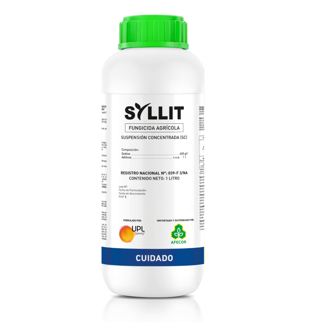 Syllit