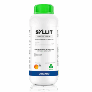 Syllit