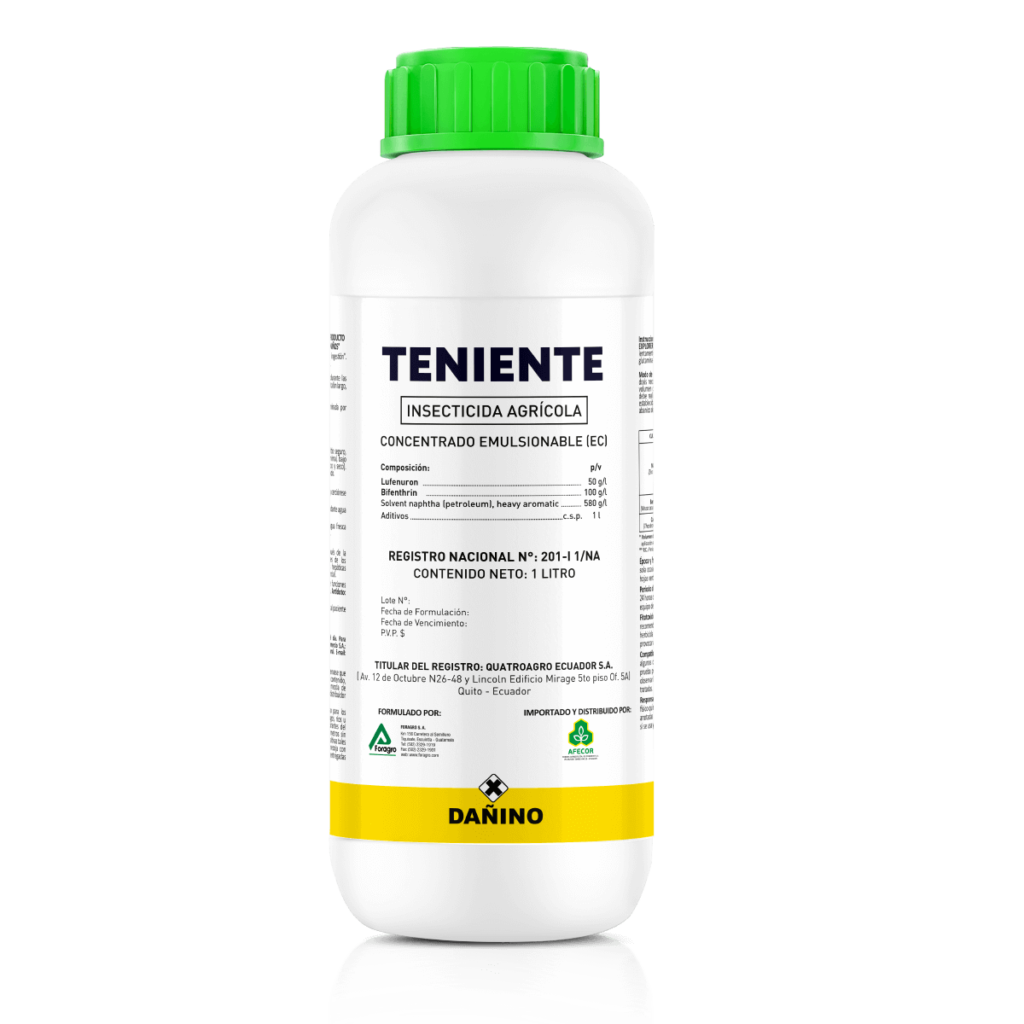 Teniente