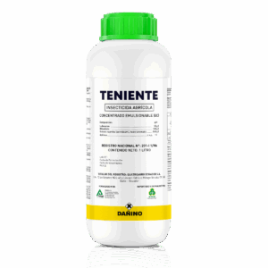 Teniente