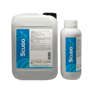 Scudo