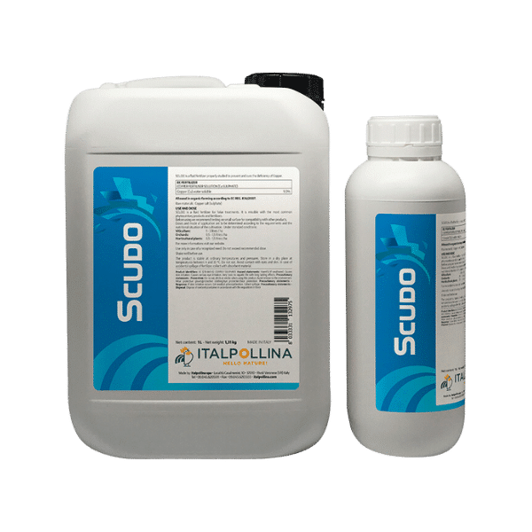 Scudo