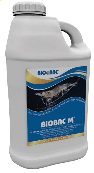 BIOBAC M
