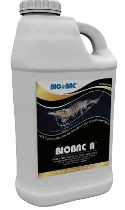 BIOBAC A