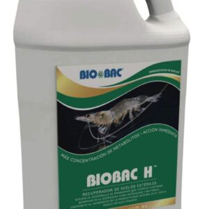BIOBAC H