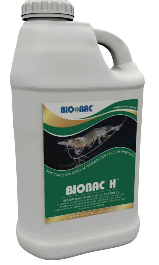 BIOBAC H