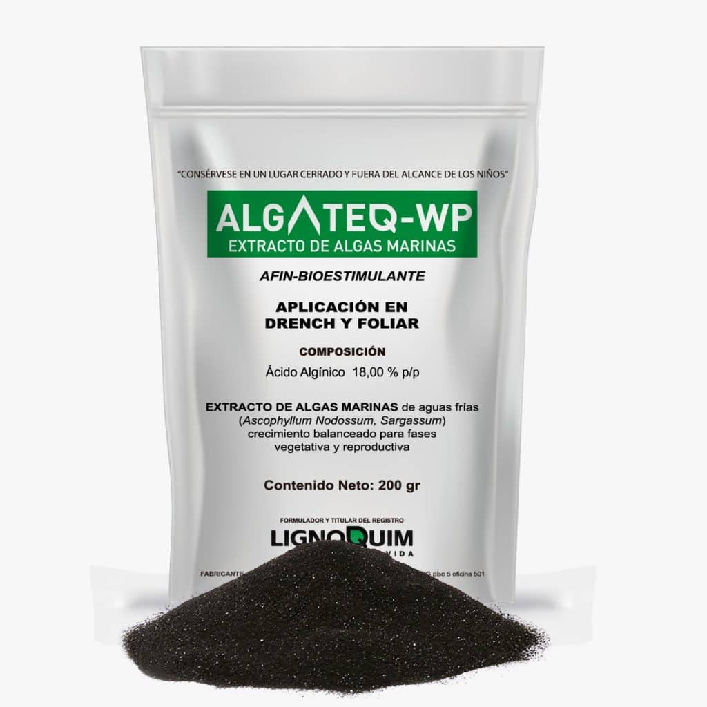 ALGATEQ WP