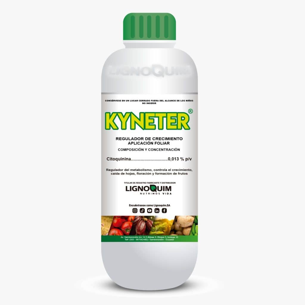 KYNETER