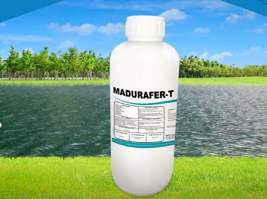 Madurafer-T