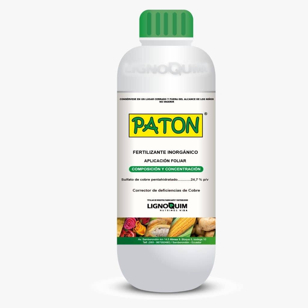 PATON