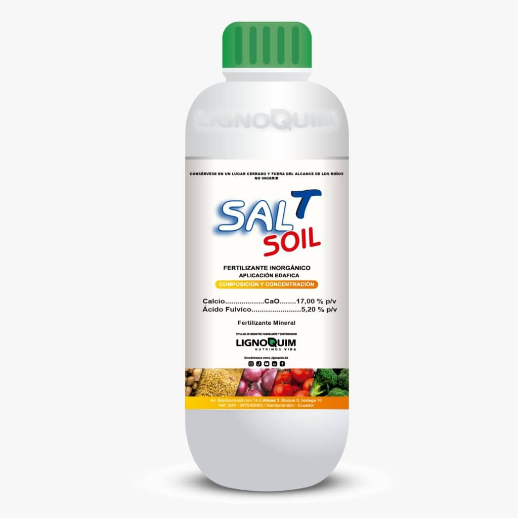 SALT SOIL