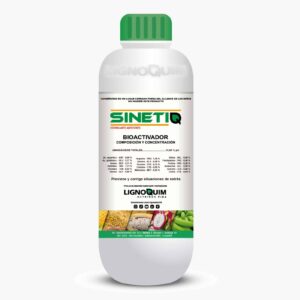 SINETIQ