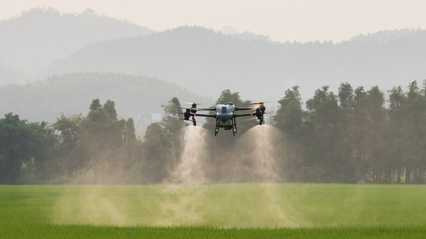 ¿Cuál es la relación entre los drones, la inteligencia artificial y la agricultura en Ecuador?