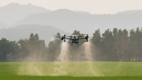 ¿Cuál es la relación entre los drones, la inteligencia artificial y la agricultura en Ecuador?