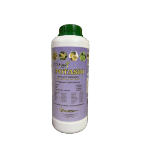 Bonov Poscal