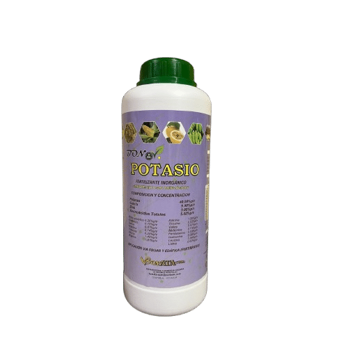 Bonov Poscal