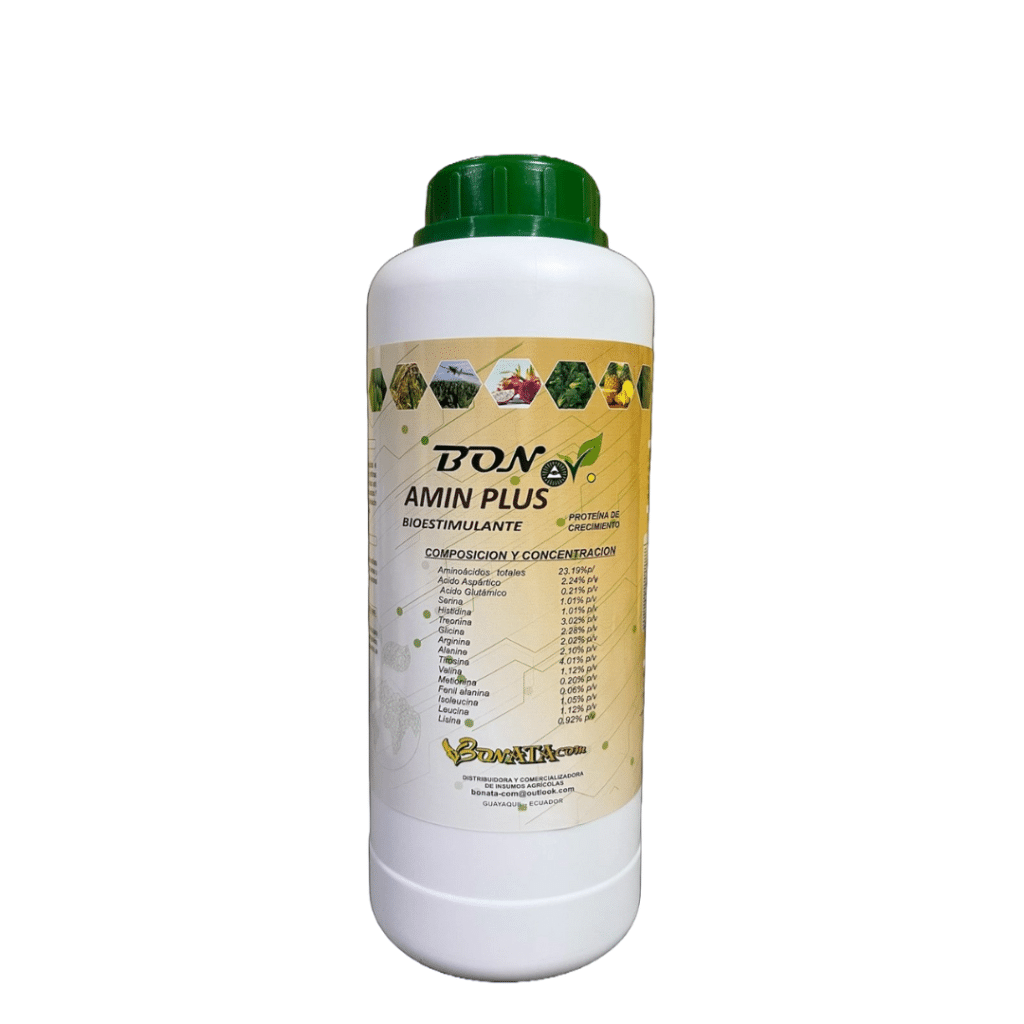 Bonov Amin Plus