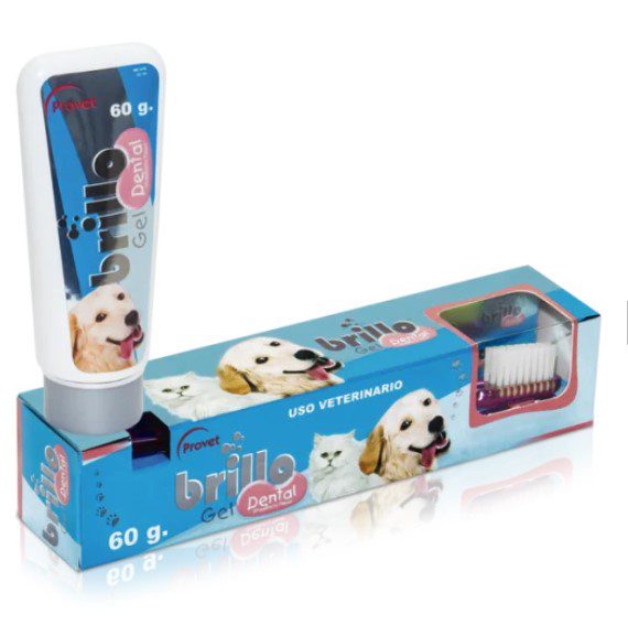 BRILLO DENTAL