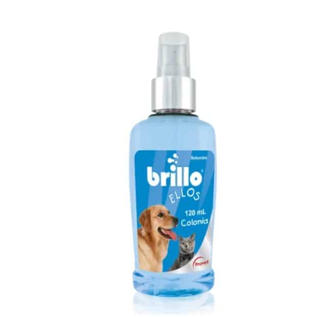 BRILLO COLONIA ELLOS