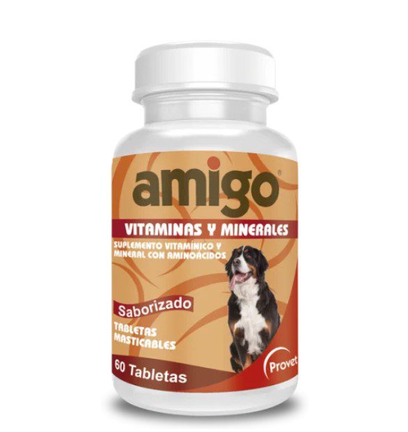 AMIGO