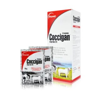 COCCIGAN POLVO