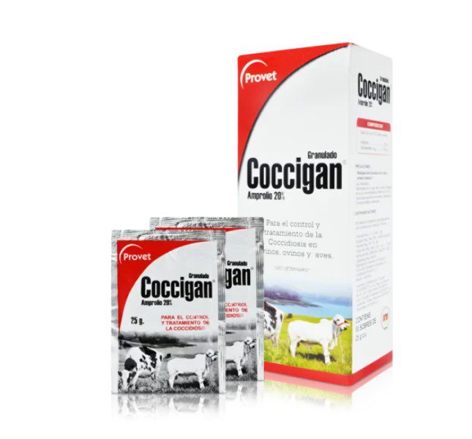 COCCIGAN POLVO