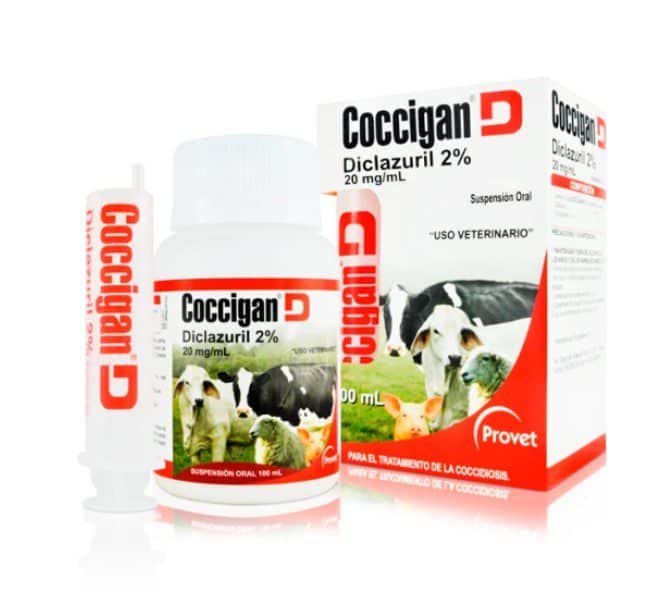 COCCIGAN-D