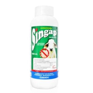 SINGAP