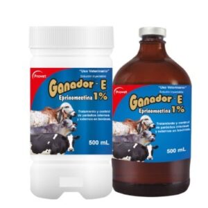 GANADOR-E