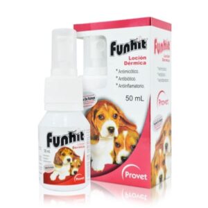 FUNHIT