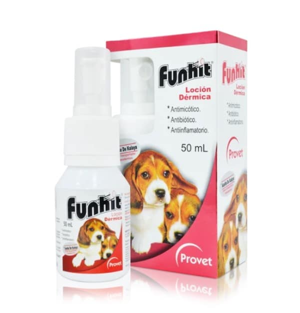 FUNHIT