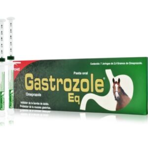 GASTROZOLE EQ
