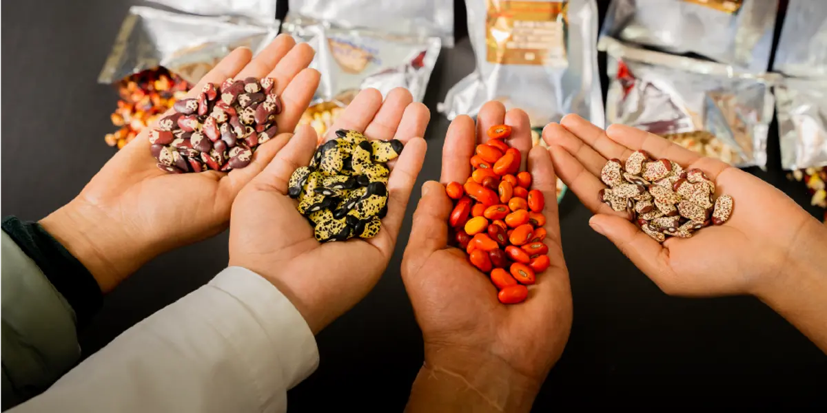 Ecuador recibe reconocimiento mundial por su liderazgo en conservación genética y producción vegetal sostenible
