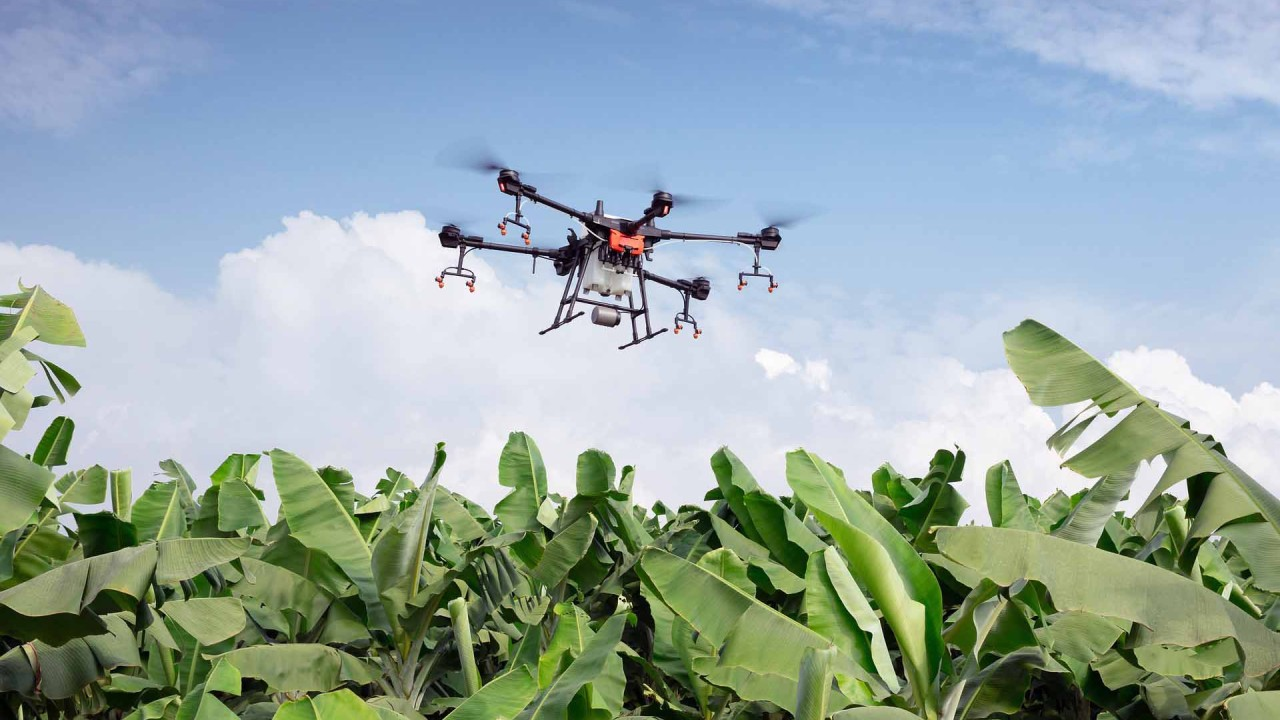 Tecnología y sostenibilidad transforman el agro y la pesca en Ecuador