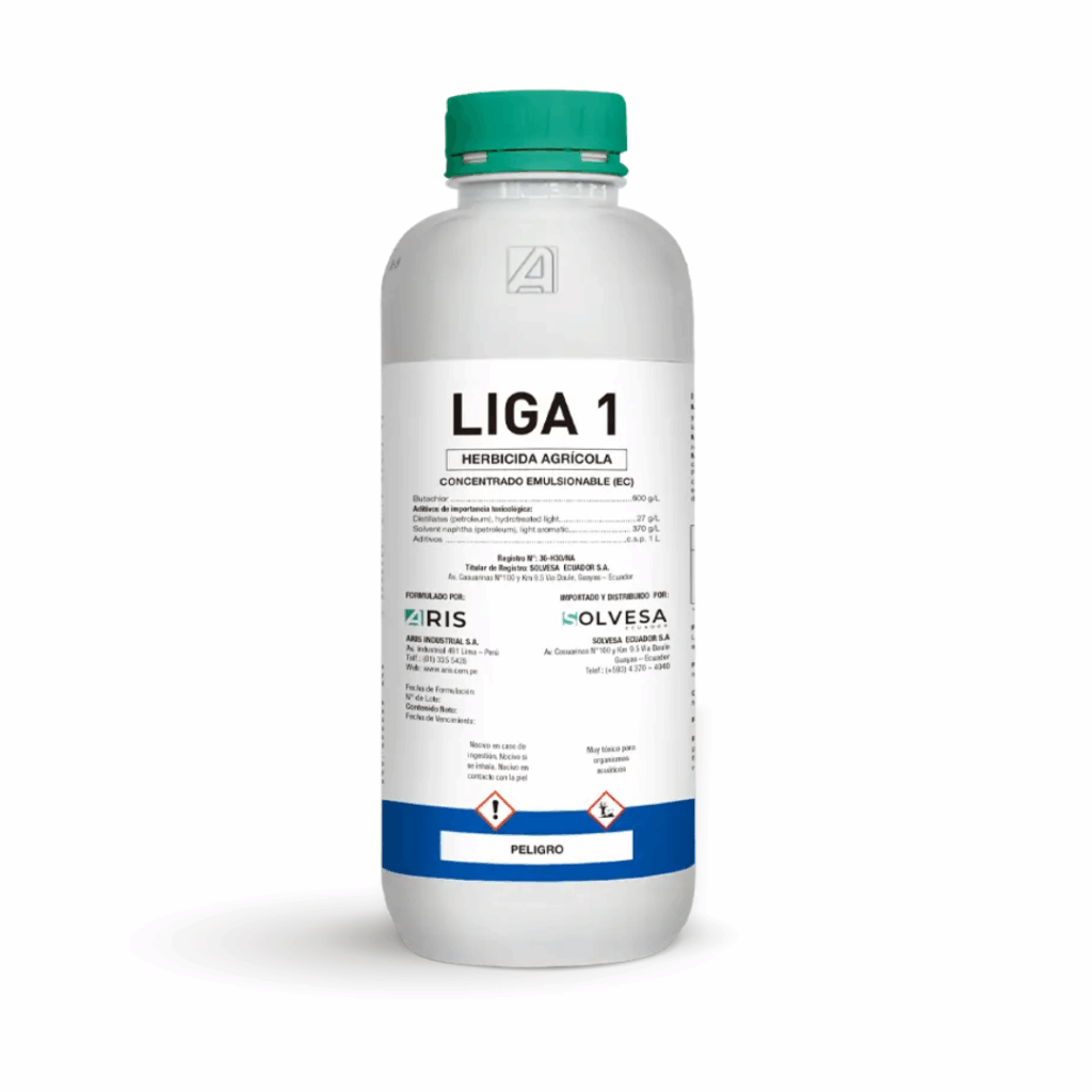 Liga 1