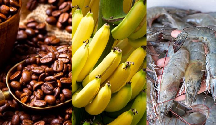 MAGP impulsa 32 cadenas agroproductivas para fortalecer las exportaciones ecuatorianas
